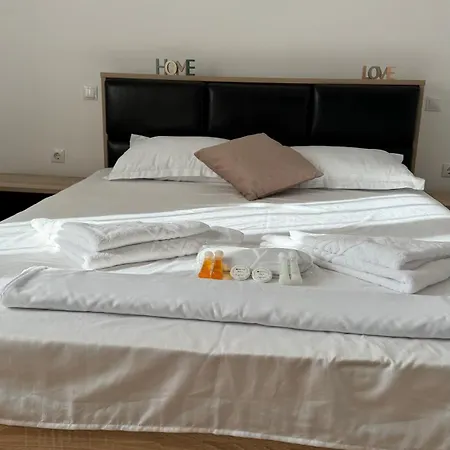 펜션 Alex Năvodari